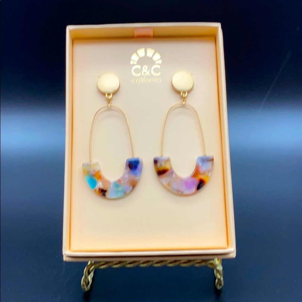 Trendy Goldtone Acrylic Resin Statement Earrings